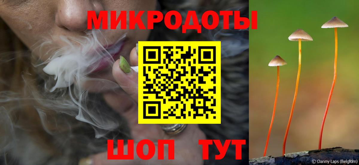 Псилоцибиновые грибы Magic Shrooms Сланцы